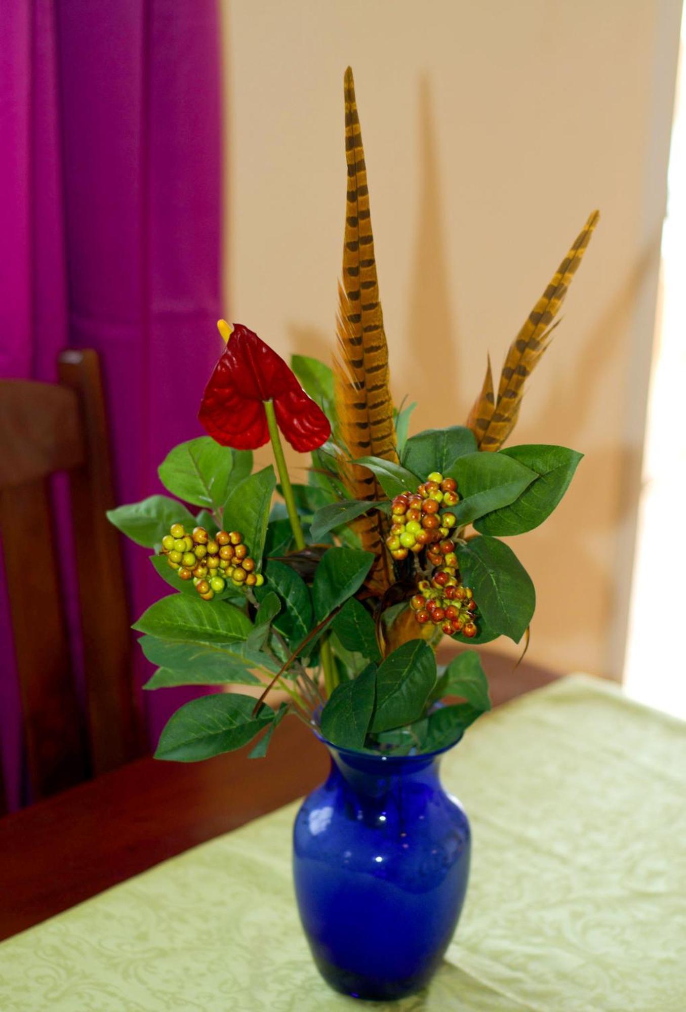 La Heliconia & Day Spa St. George's Zewnętrze zdjęcie